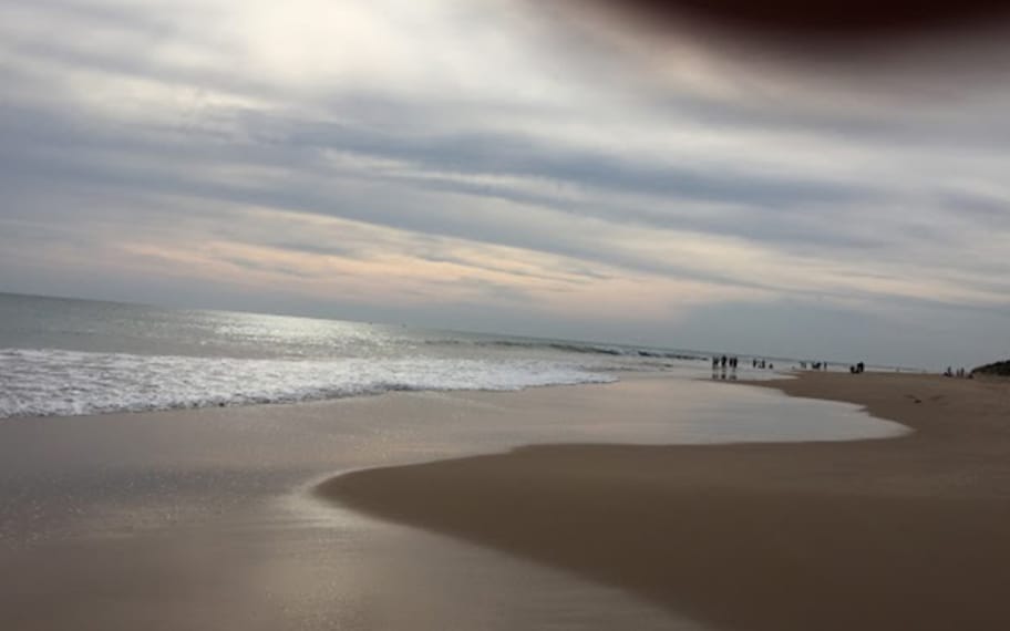 Kanyakumari Sothavilai Beach Landscape Image